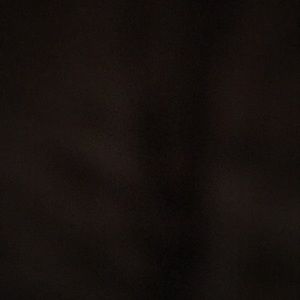 Meet your Posher, Cheyanne